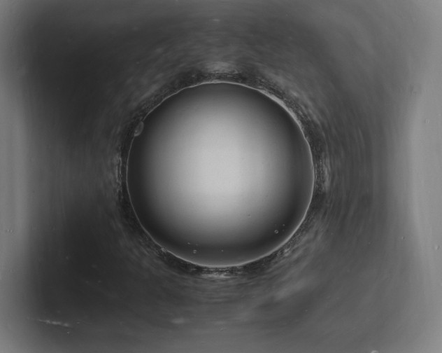 X0000102781301200808181141