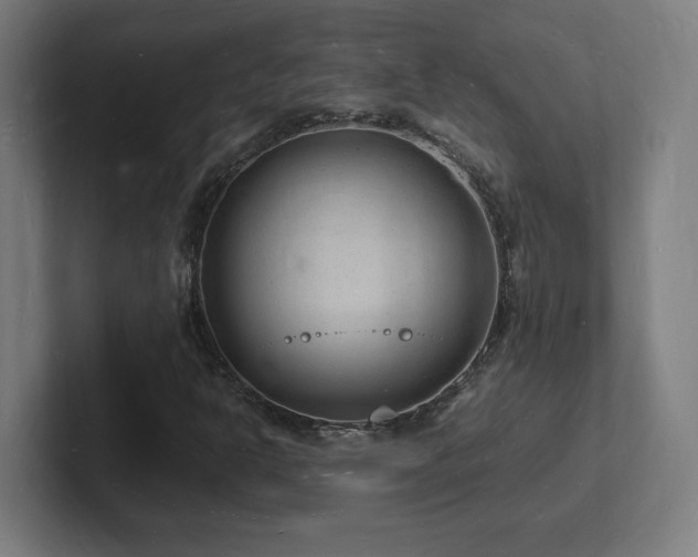 X0000102781302200808181141