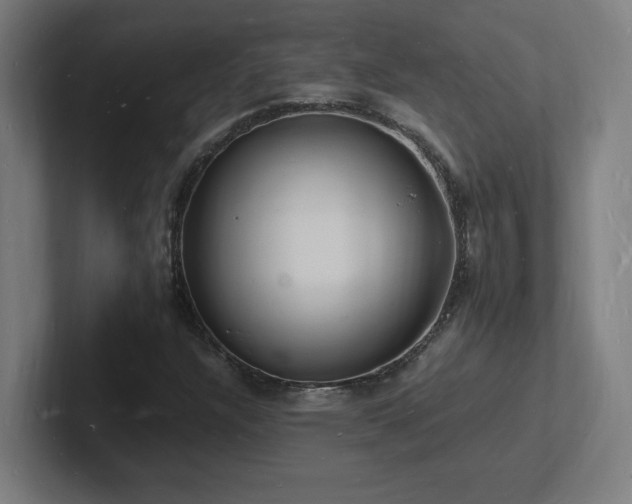 X0000102781304200808181141