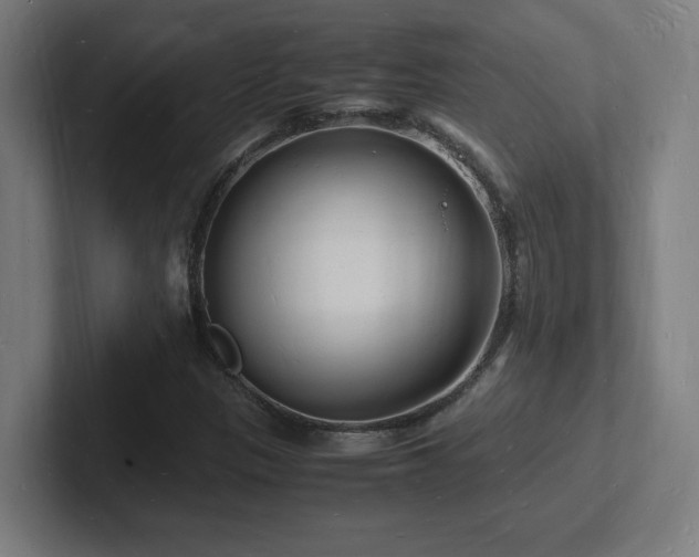 X0000102781305200808181141