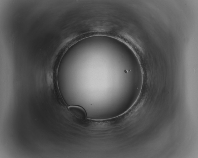 X0000102781307200808181141