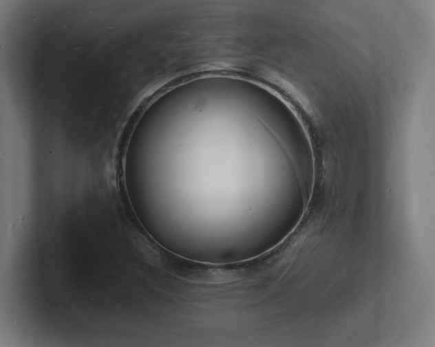 X0000102781308200808181141