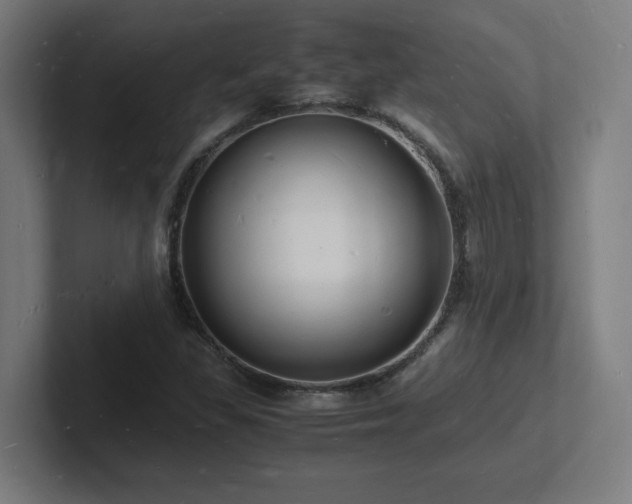 X0000102781309200808181141