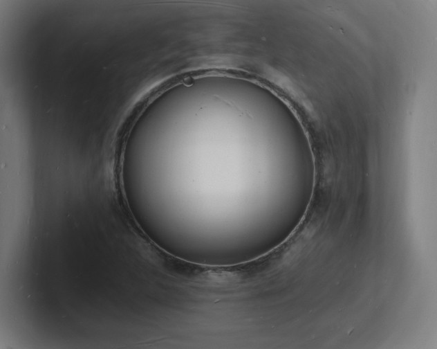 X0000102781312200808181141