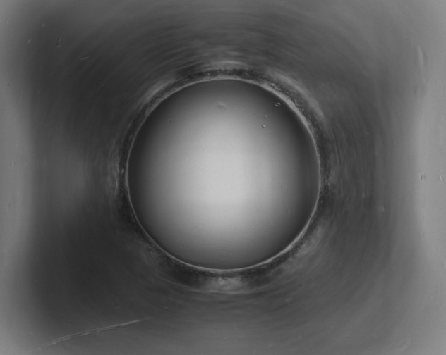 X0000102781313200808181141