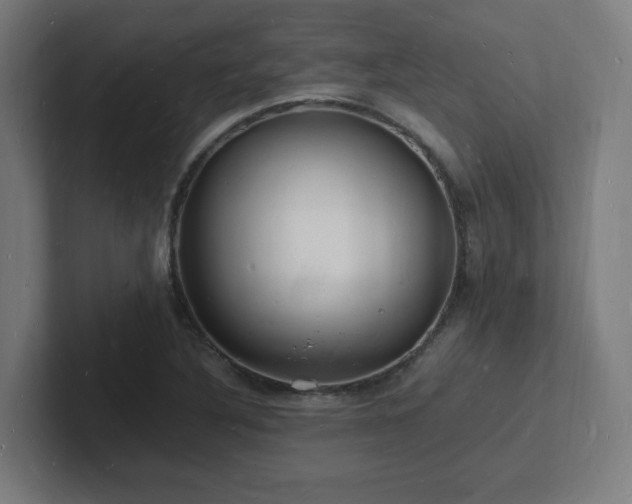 X0000102781316200808181141