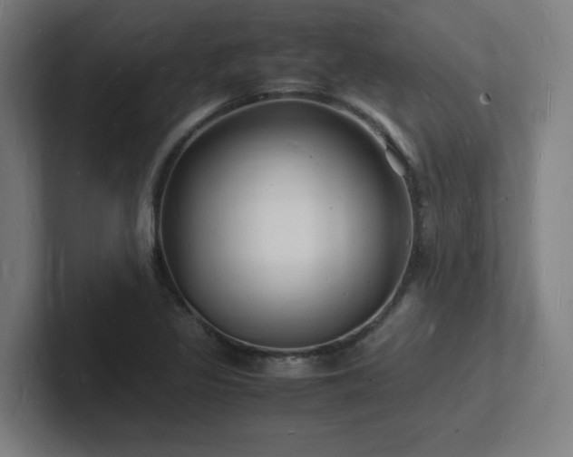 X0000102781317200808181141