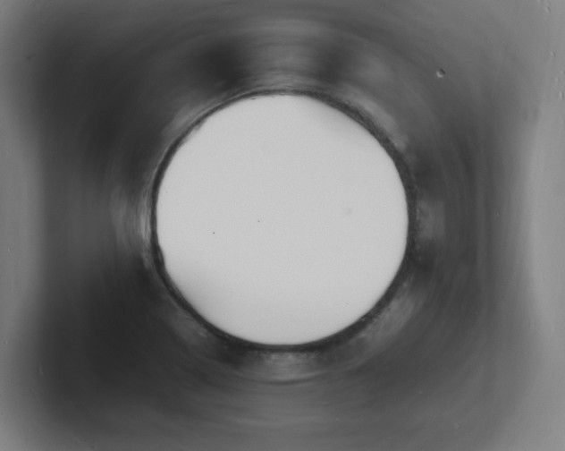 X0000102781322200808181142