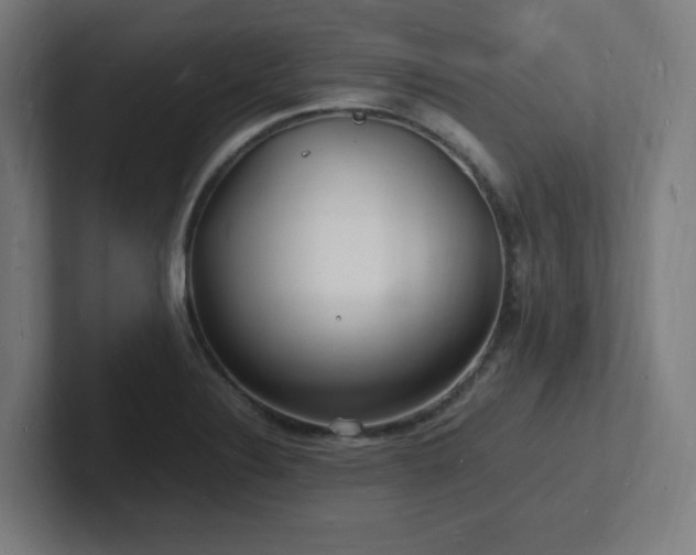 X0000102781324200808181142