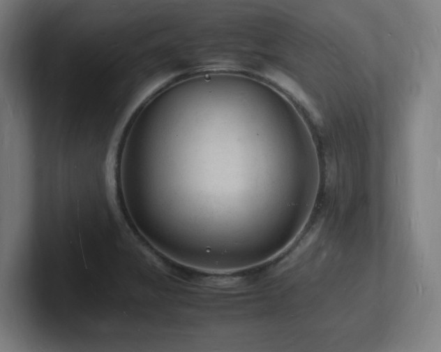 X0000102781325200808181142