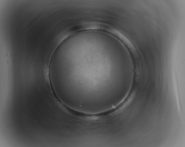 X0000102781329200808181142