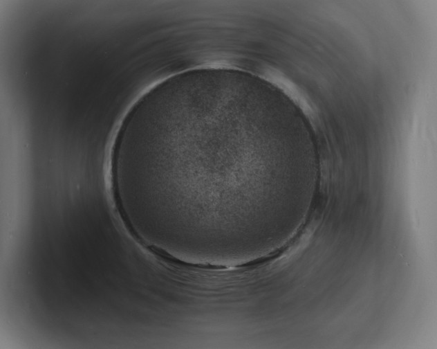 X0000102781331200808181142