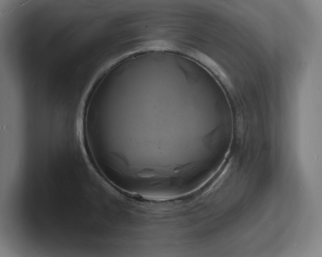 X0000102781334200808181142