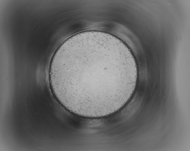 X0000102781338200808181142