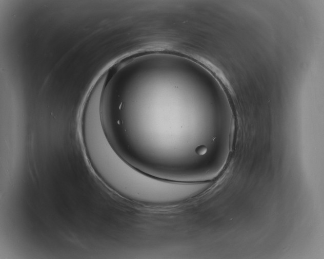 X0000102781342200808181142