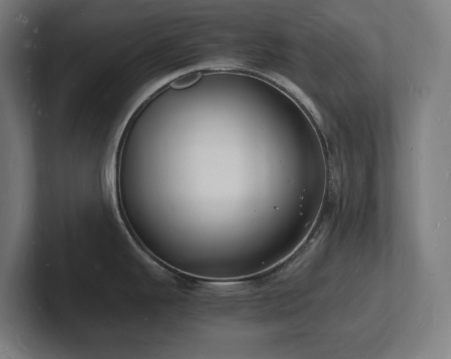 X0000102781343200808181142