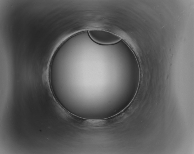 X0000102781344200808181142