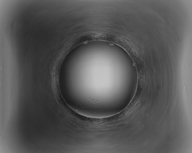 X0000102781345200808181141