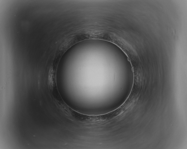 X0000102781346200808181141