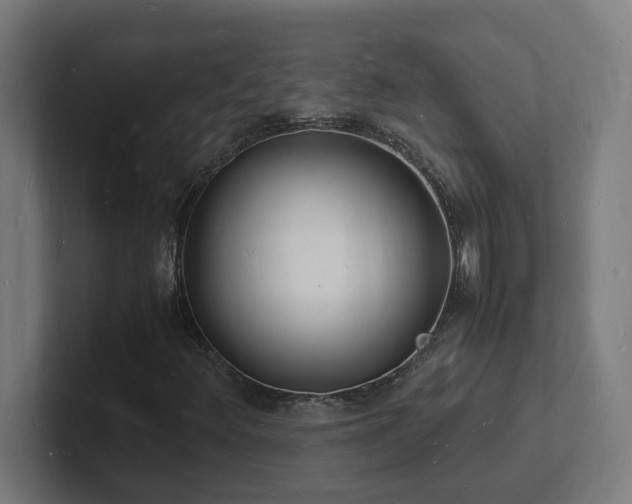 X0000102781348200808181141