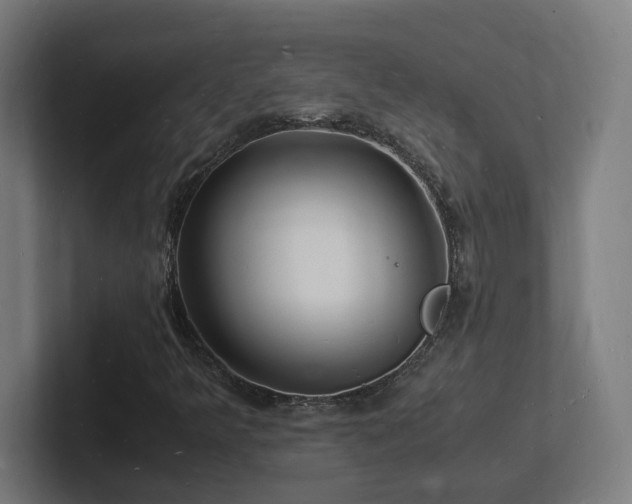 X0000102781349200808181141