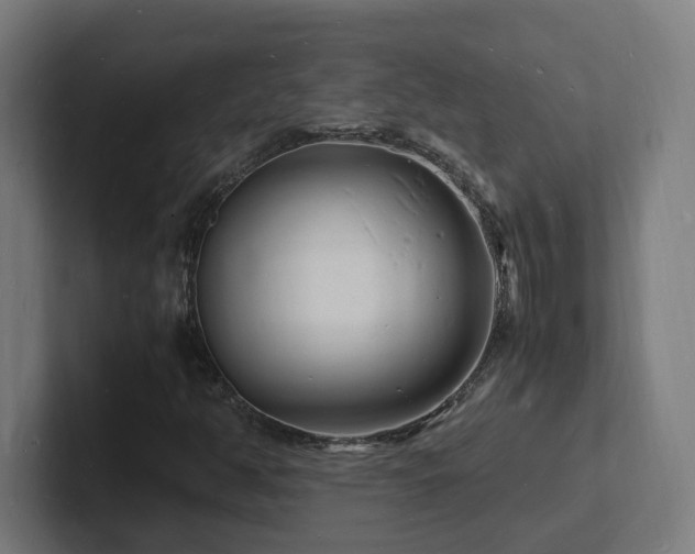 X0000102781350200808181141