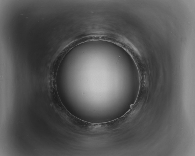 X0000102781352200808181141