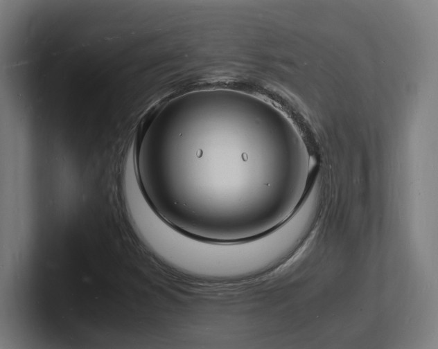 X0000102781353200808181141