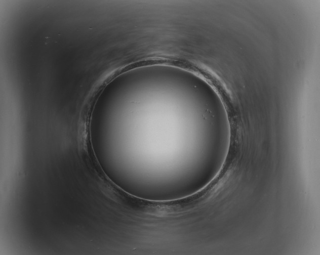 X0000102781355200808181141