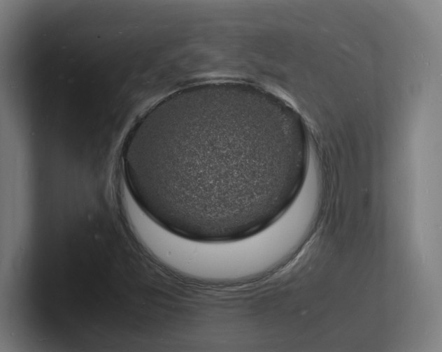 X0000102781357200808181141