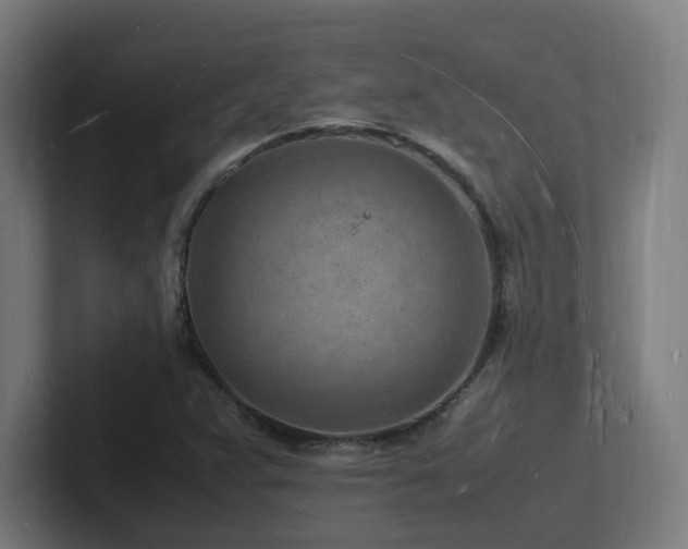 X0000102781359200808181141