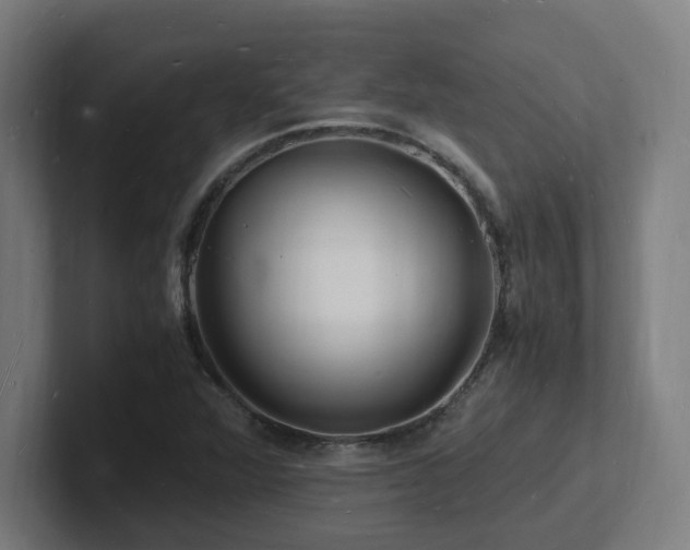 X0000102781360200808181141