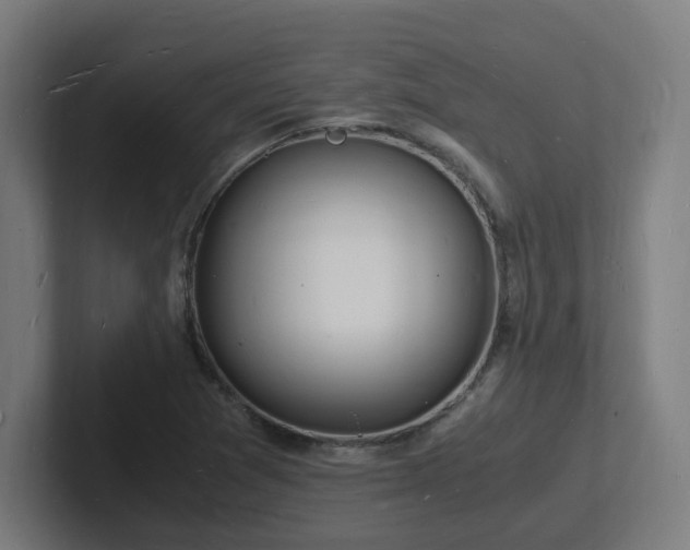 X0000102781361200808181141