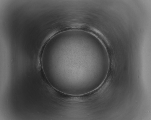 X0000102781362200808181141