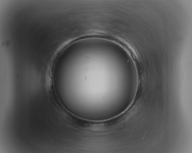 X0000102781363200808181141