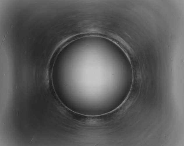 X0000102781364200808181141