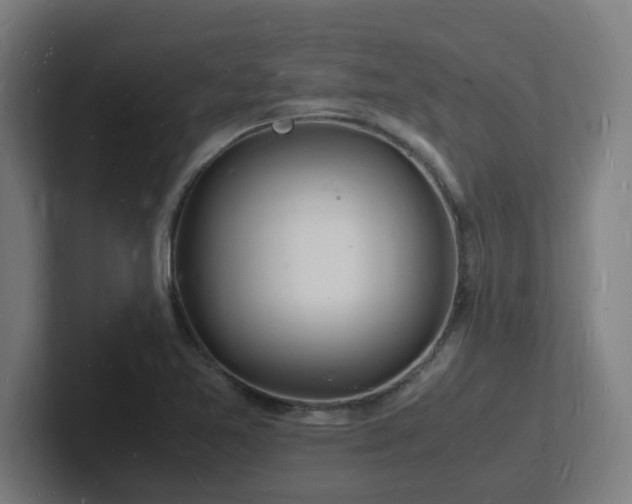 X0000102781365200808181141