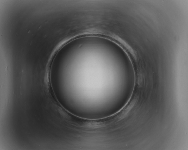 X0000102781366200808181141