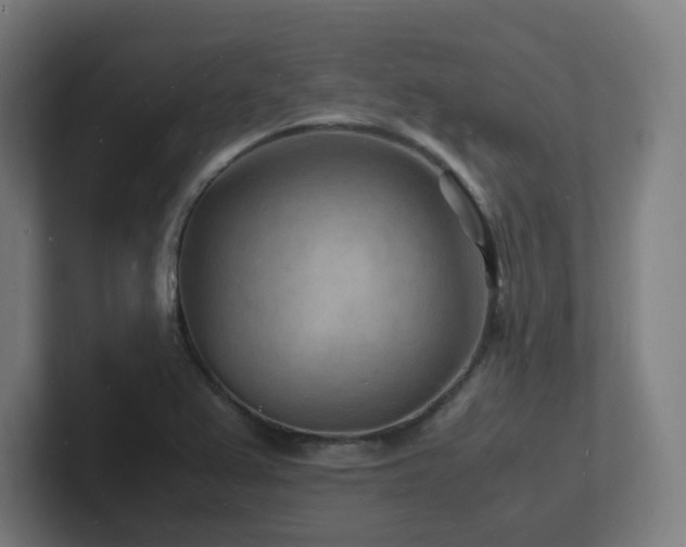 X0000102781367200808181141