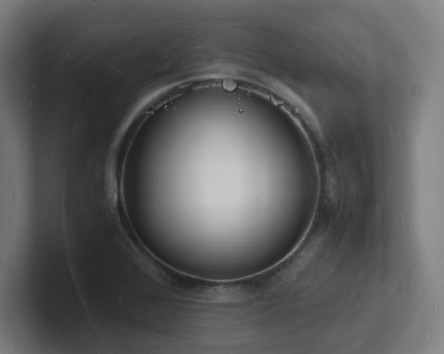 X0000102781368200808181141