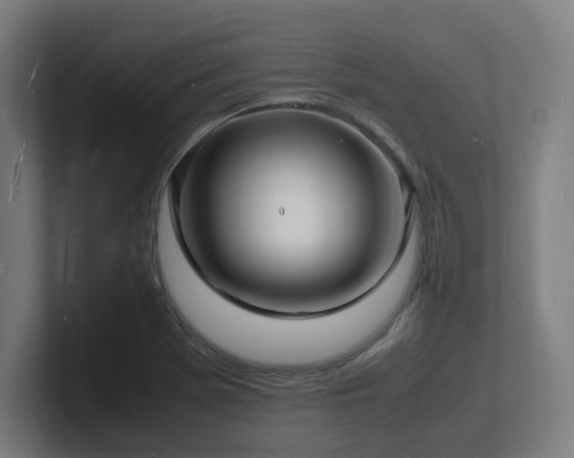 X0000102781369200808181141