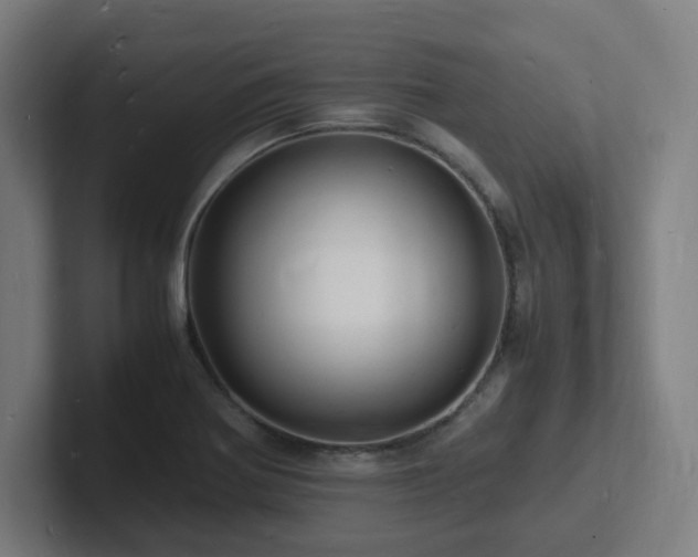 X0000102781370200808181141