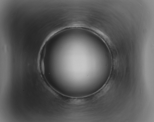 X0000102781374200808181141