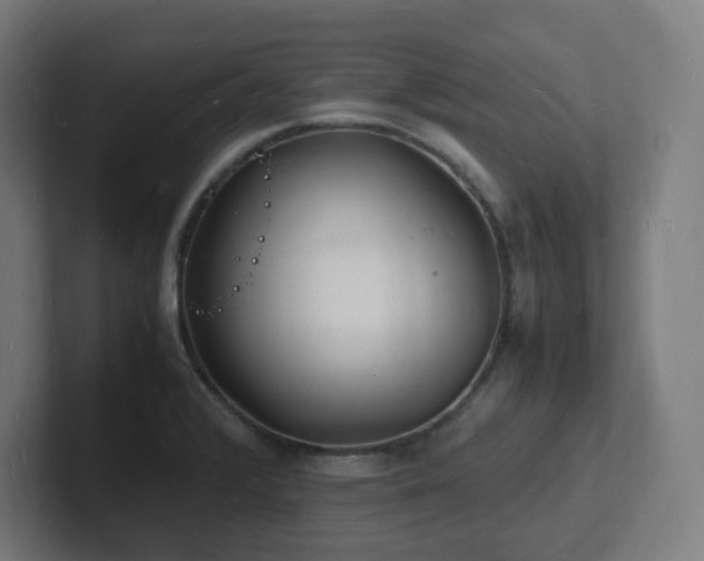 X0000102781376200808181141