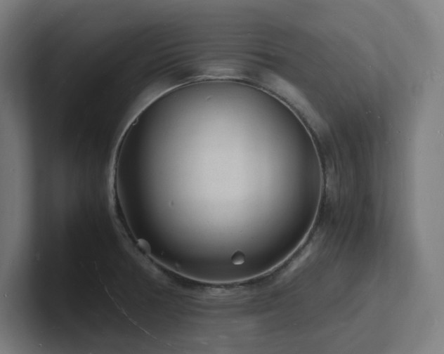 X0000102781378200808181141