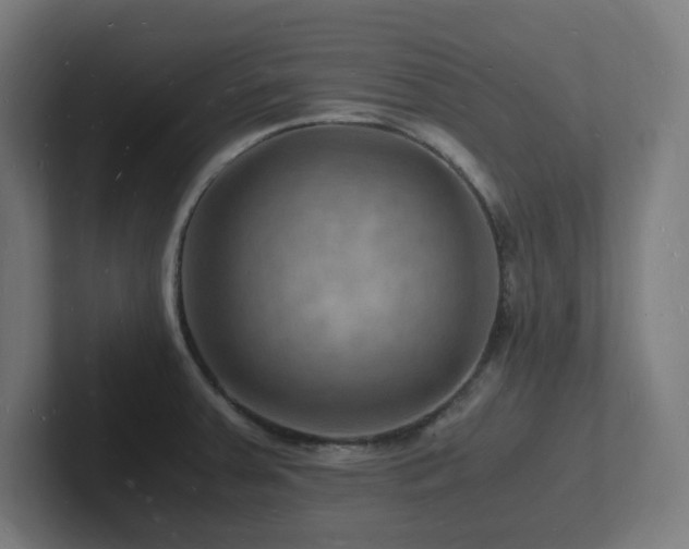 X0000102781379200808181141