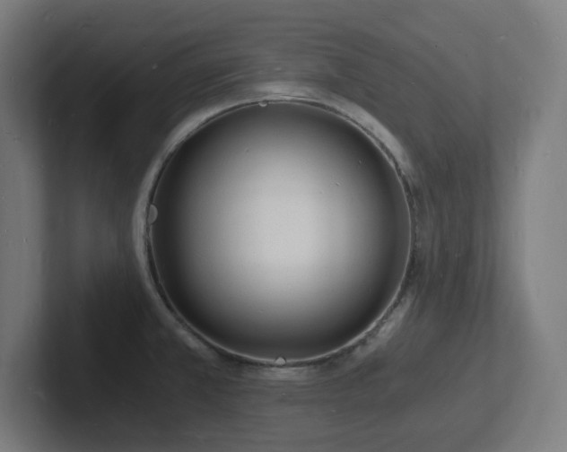 X0000102781381200808181141