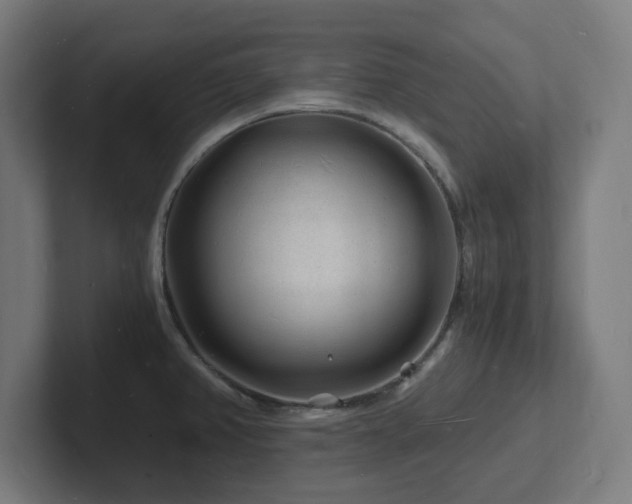 X0000102781382200808181141