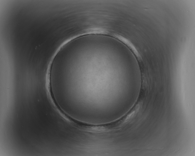 X0000102781383200808181141