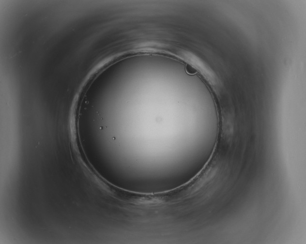 X0000102781384200808181141